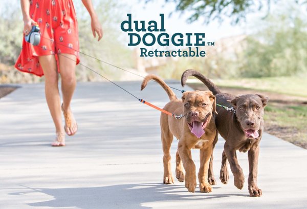 Wigzi Dual Doggie Automatikleine  für zwei Hunde bis zu je 22kg