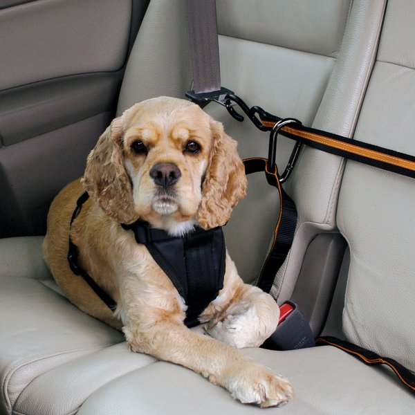 Kurgo, Leash and Zip Line Combo: Autorücksitz-Sicherungssystem für Hunde