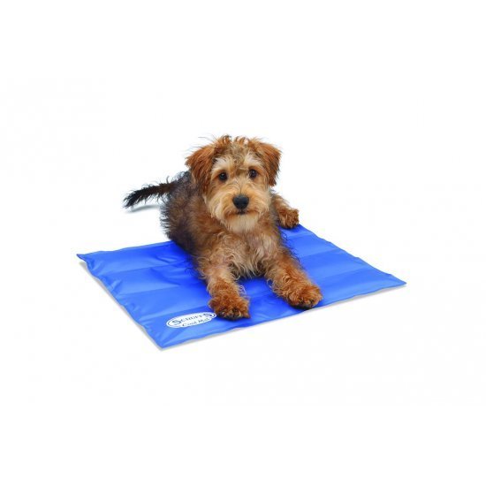 Scruffs, Cool Mat, selbstkühlende Liegematte für Hunde und andere Haustiere, blau