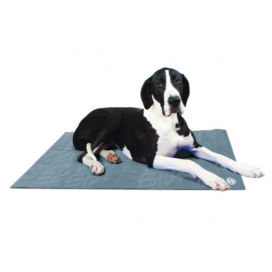 Scruffs, Cool Mat, selbstkühlende Liegematte für Hunde und andere Haustiere, grau