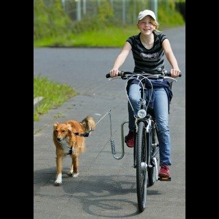 Karlie, Doggy Guide - Führhalter fürs Fahrrad