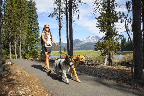 Ruffwear, Double Track: elastische Koppel für zwei Hunde an einer Leine