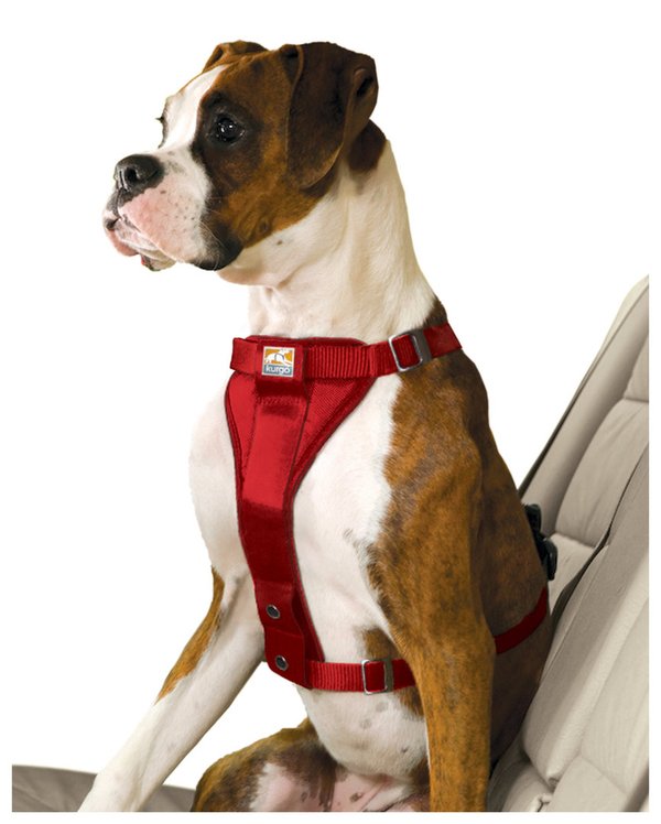 Kurgo, Hundesicherheitsgeschirr Tru-Fit-Smart Harness (inkl. Gurtbefestigung), rot