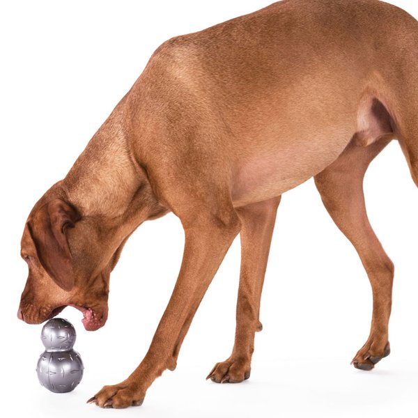 Planet Dog, Hundewurf und Apportierspielzeug  "Diamond Plate Ball Double Tuff "