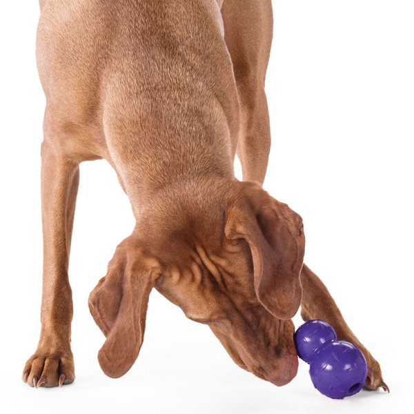 Planet Dog, Hundewurf und Apportierspielzeug  "Diamond Plate Ball Double Tuff "