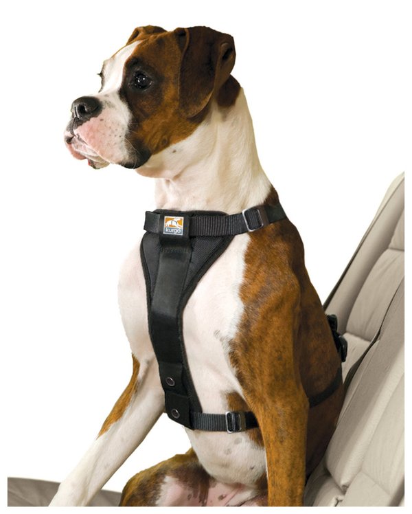 Kurgo, Hundesicherheitsgeschirr Tru-Fit-Smart Harness (inkl. Gurtbefestigung), schwarz