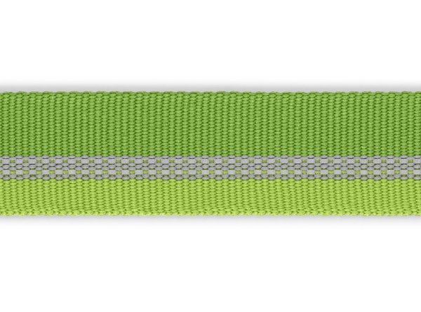 Ruffwear, Hundehalsband Crag Collar, meadow green (grün)