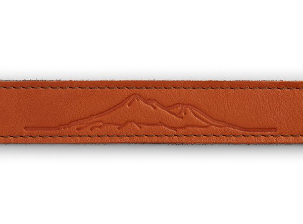 Ruffwear, Lederhalsband "Frisco / Timberline Collar", Canyonlands Orange (orange-braun)