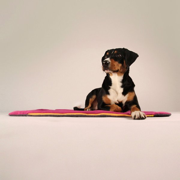 BUDDY . Büggel, Hundedecke und- Handtuch im stylischen Rucksack, pink