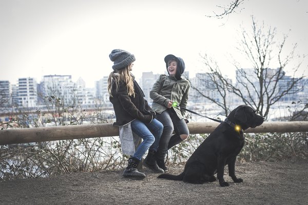 ORBILOC Dog Dual - The Safety Light, Sicherheitsfarben