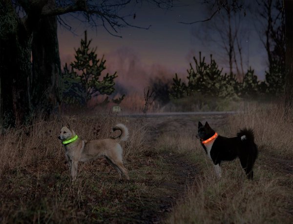 Visio Light LED Langhaar - Blinkschlauch speziell für langhaarige Hunde