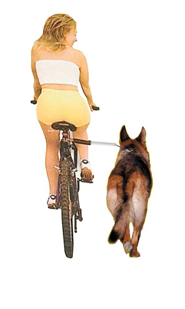 Fahrrad Freilaufleine Walky Dog Plus, sicher mit dem Hund Fahrrad fahren!